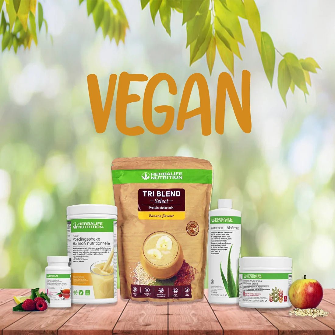 Vegan Range - Coach Andrea